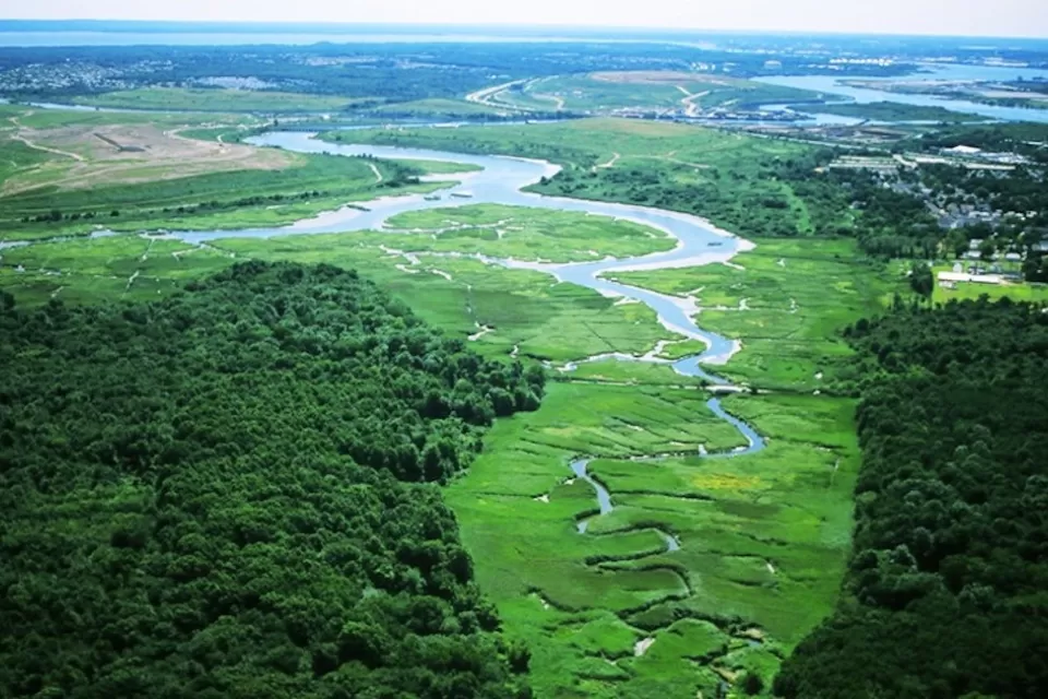 AErial view of lush green Freshkills Park wetlands surrounded by trees in Staten Island, New York.